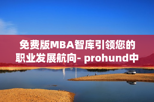 免费版MBA智库引领您的职业发展航向- prohund中国