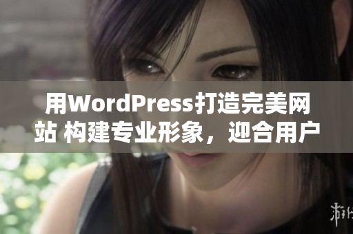 用WordPress打造完美网站 构建专业形象，迎合用户期望