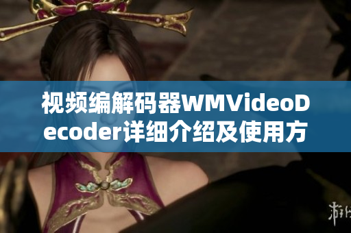 视频编解码器WMVideoDecoder详细介绍及使用方法