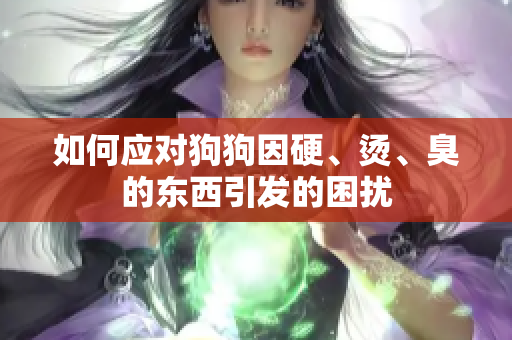 如何应对狗狗因硬、烫、臭的东西引发的困扰