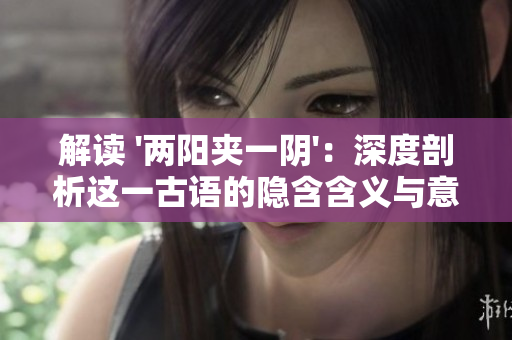 解读 '两阳夹一阴'：深度剖析这一古语的隐含含义与意义