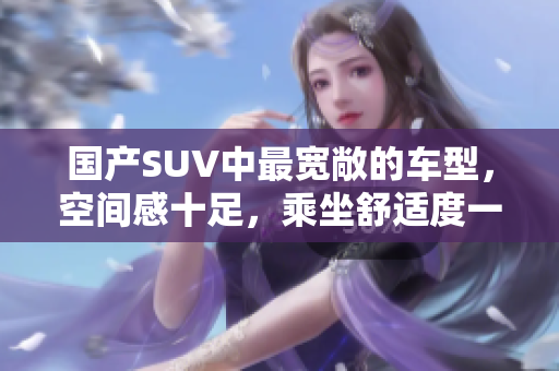 国产SUV中最宽敞的车型，空间感十足，乘坐舒适度一流