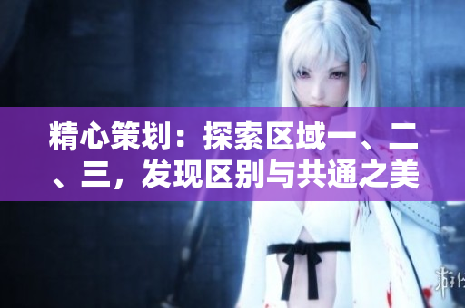 精心策划：探索区域一、二、三，发现区别与共通之美