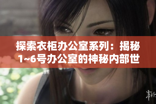 探索衣柜办公室系列：揭秘1~6号办公室的神秘内部世界