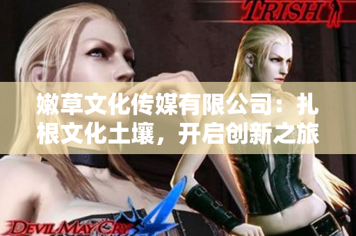 嫩草文化传媒有限公司：扎根文化土壤，开启创新之旅