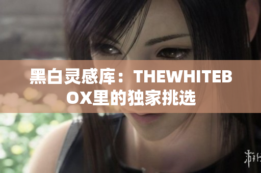 黑白灵感库：THEWHITEBOX里的独家挑选