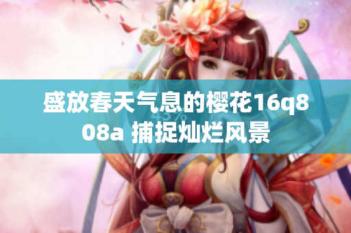 盛放春天气息的樱花16q808a 捕捉灿烂风景