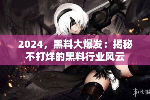 2024，黑料大爆发：揭秘不打烊的黑料行业风云