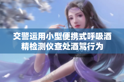 交警运用小型便携式呼吸酒精检测仪查处酒驾行为