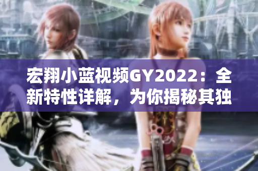 宏翔小蓝视频GY2022：全新特性详解，为你揭秘其独特之处