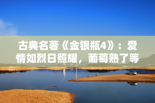 古典名著《金银瓶4》：爱情如烈日照耀，葡萄熟了等待收获