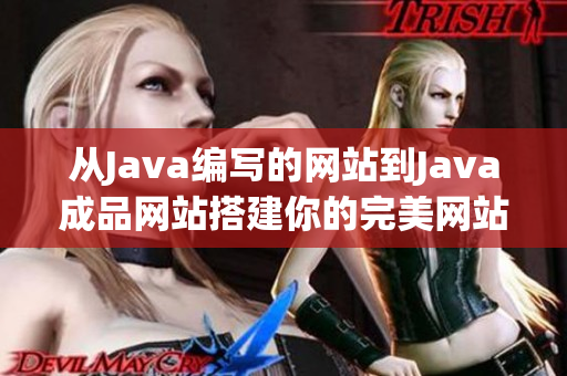 从Java编写的网站到Java成品网站搭建你的完美网站
