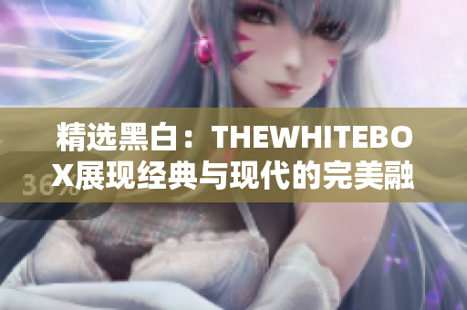精选黑白：THEWHITEBOX展现经典与现代的完美融合