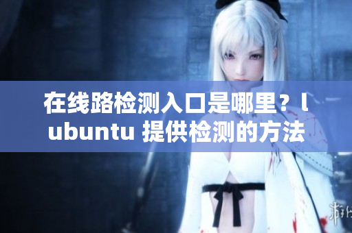 在线路检测入口是哪里？lubuntu 提供检测的方法