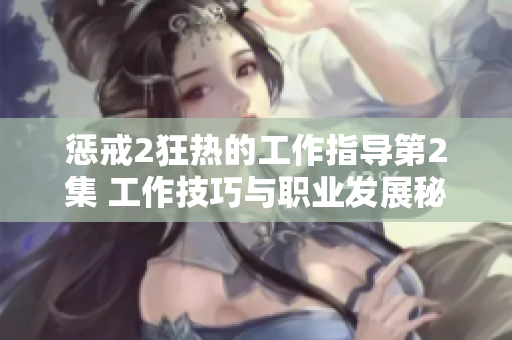惩戒2狂热的工作指导第2集 工作技巧与职业发展秘诀