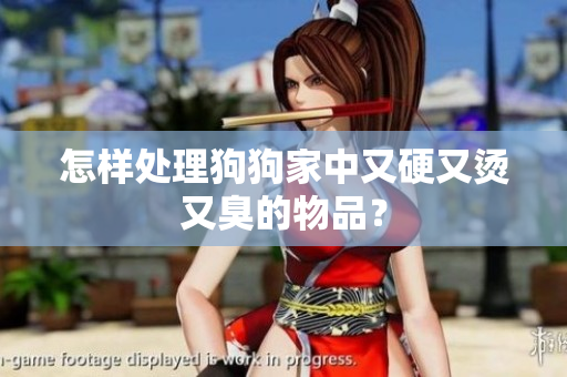 怎样处理狗狗家中又硬又烫又臭的物品？