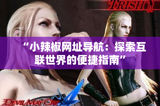 “小辣椒网址导航：探索互联世界的便捷指南”