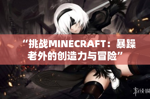 “挑战MINECRAFT：暴躁老外的创造力与冒险”