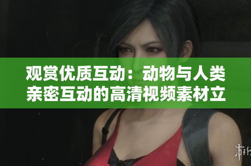 观赏优质互动：动物与人类亲密互动的高清视频素材立即可下载