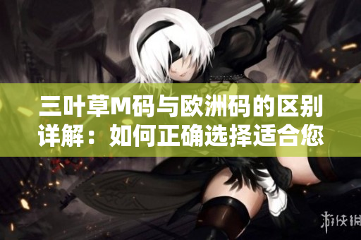 三叶草M码与欧洲码的区别详解：如何正确选择适合您的尺码