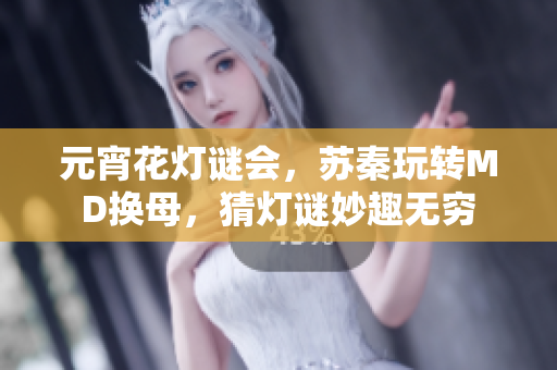 元宵花灯谜会，苏秦玩转MD换母，猜灯谜妙趣无穷