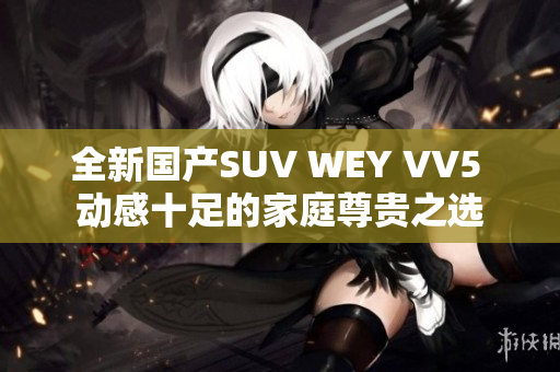 全新国产SUV WEY VV5 动感十足的家庭尊贵之选