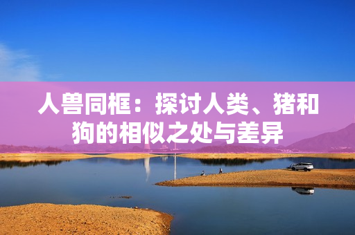 人兽同框：探讨人类、猪和狗的相似之处与差异