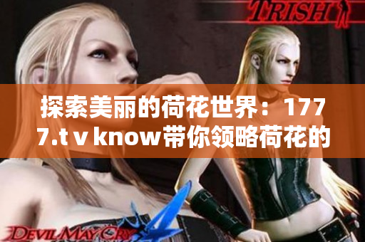 探索美丽的荷花世界：1777.tⅴknow带你领略荷花的魅力