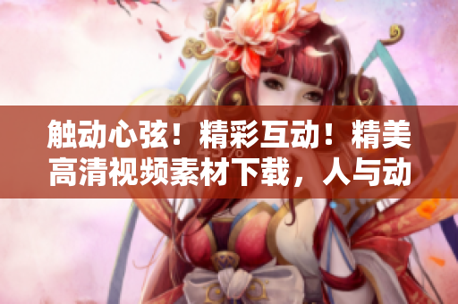 触动心弦！精彩互动！精美高清视频素材下载，人与动物温馨互动，感动人心！