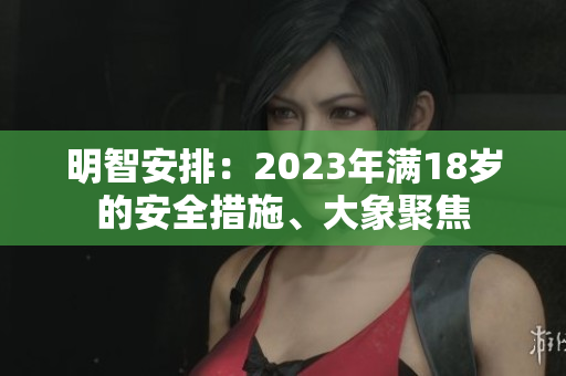 明智安排：2023年满18岁的安全措施、大象聚焦