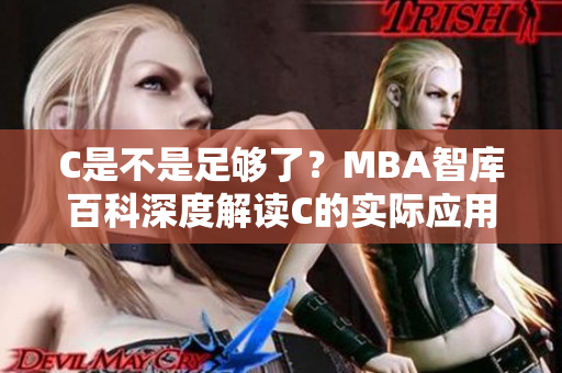 C是不是足够了？MBA智库百科深度解读C的实际应用价值