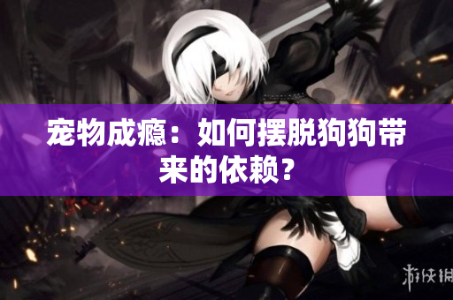 宠物成瘾：如何摆脱狗狗带来的依赖？