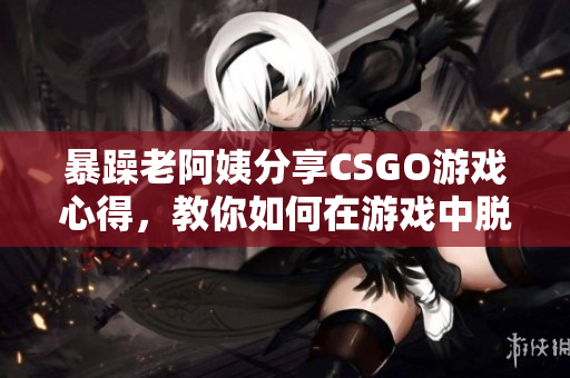 暴躁老阿姨分享CSGO游戏心得，教你如何在游戏中脱颖而出