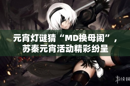 元宵灯谜猜“MD换母闹”，苏秦元宵活动精彩纷呈