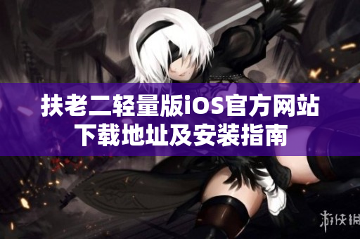 扶老二轻量版iOS官方网站下载地址及安装指南