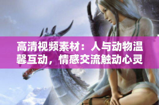 高清视频素材：人与动物温馨互动，情感交流触动心灵