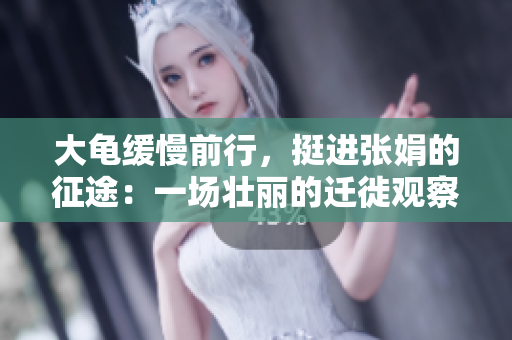 大龟缓慢前行，挺进张娟的征途：一场壮丽的迁徙观察