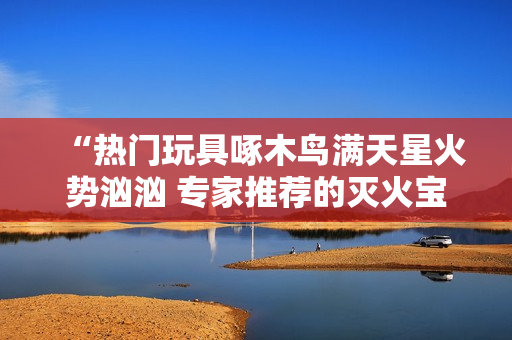“热门玩具啄木鸟满天星火势汹汹 专家推荐的灭火宝贝让家长放心”