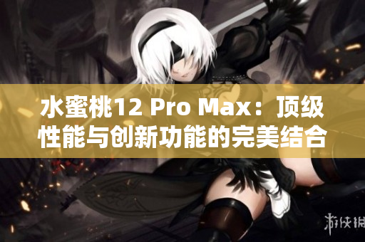 水蜜桃12 Pro Max：顶级性能与创新功能的完美结合