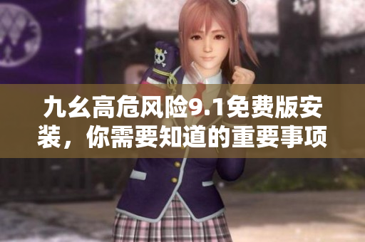 九幺高危风险9.1免费版安装，你需要知道的重要事项