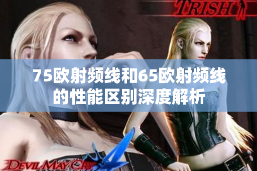 75欧射频线和65欧射频线的性能区别深度解析