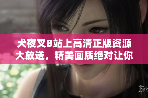 犬夜叉B站上高清正版资源大放送，精美画质绝对让你流连忘返