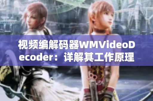 视频编解码器WMVideoDecoder：详解其工作原理及应用领域